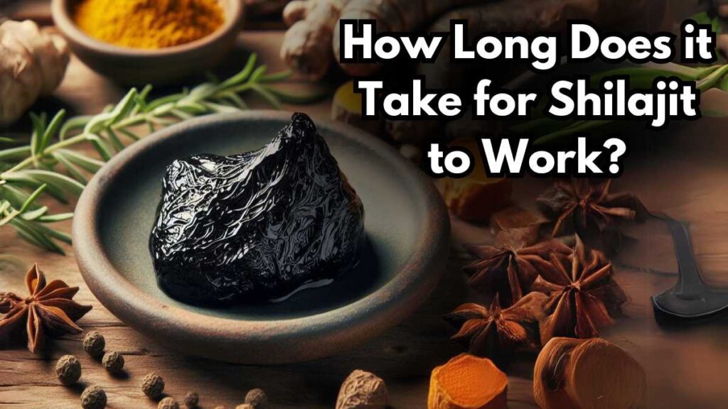 How Long Does it Take for Shilajit to Work?